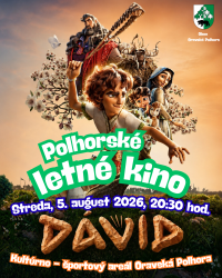 david david