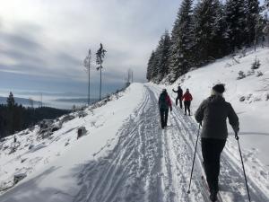 Fotogaléria: Babohorská stopa 2018