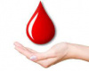 Darovanie krvi_20.04.2022 2